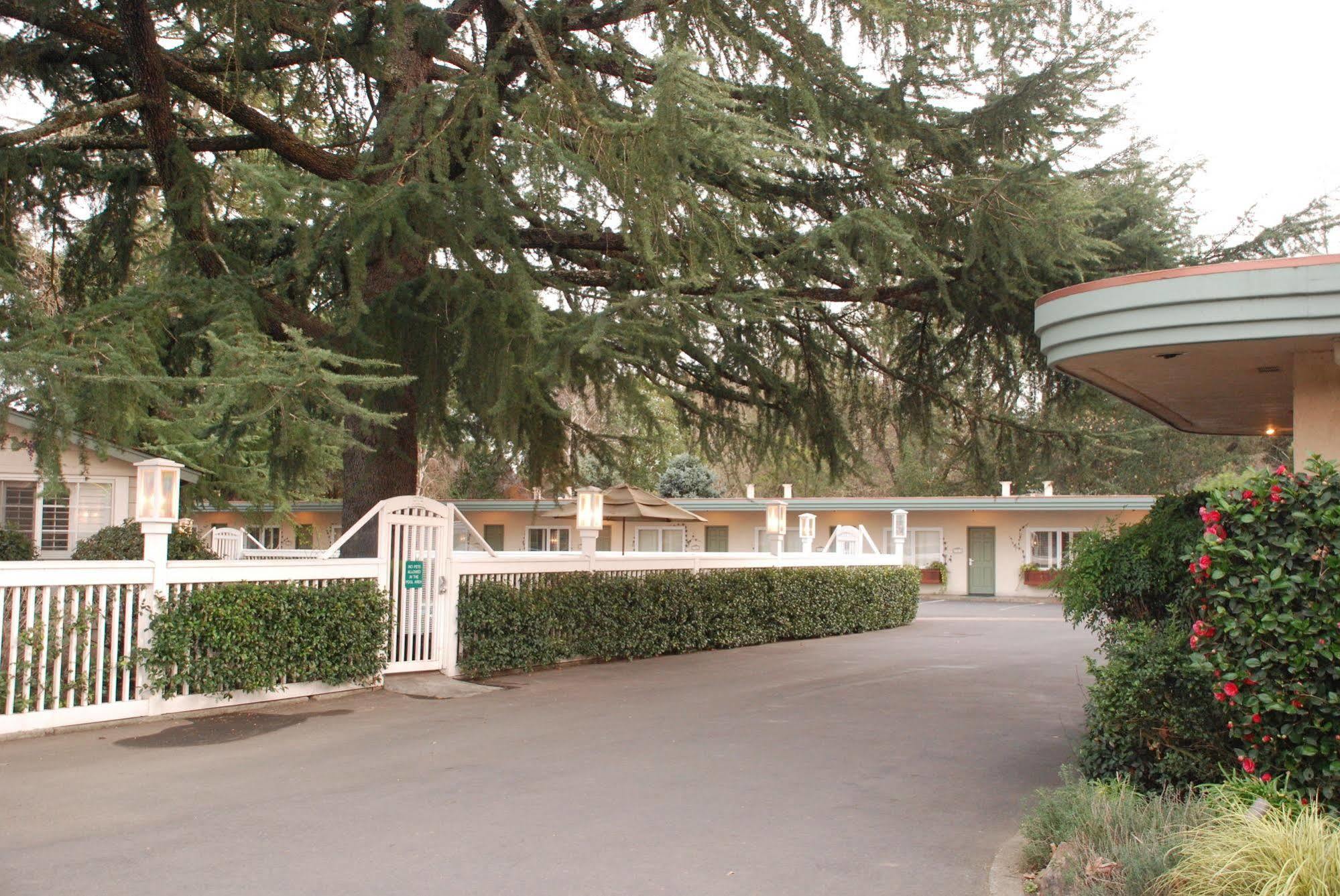 El Bonita Motel St. Helena Exterior photo